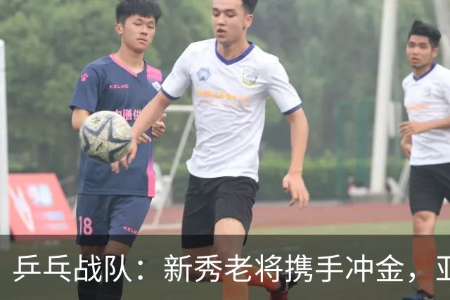 乒乓战队：新秀老将携手冲金，亚运会王者归来！